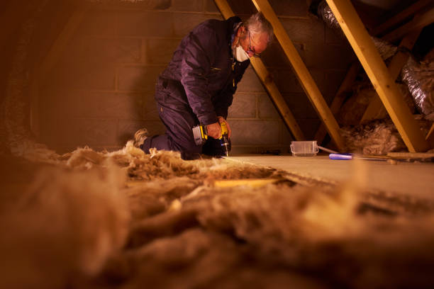 Types of Insulation We Offer in Shelbyville, TN