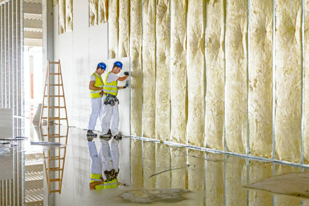 Professional Insulation in Shelbyville, TN